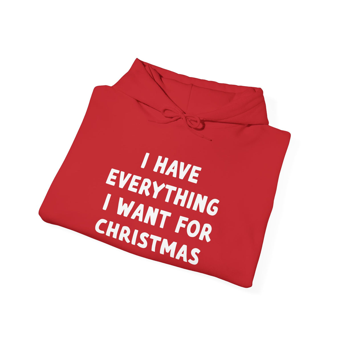 I Have Everything I Want for Christmas | Hoodie