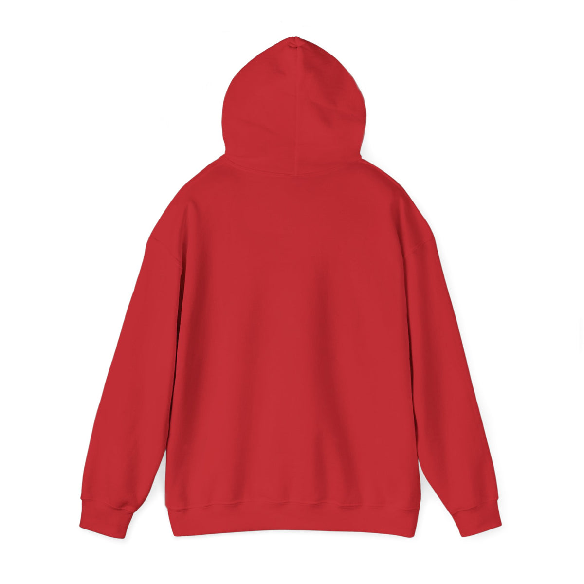 I Have Everything I Want for Christmas | Hoodie