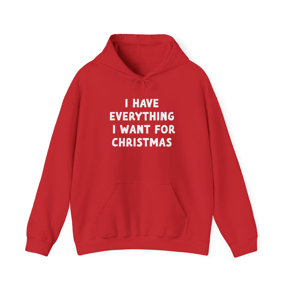 I Have Everything I Want for Christmas | Hoodie