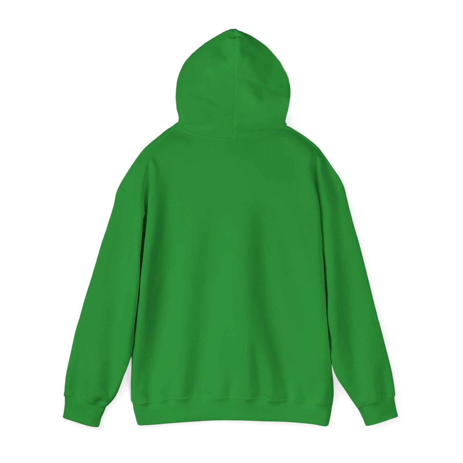 I Have Everything I Want for Christmas | Hoodie