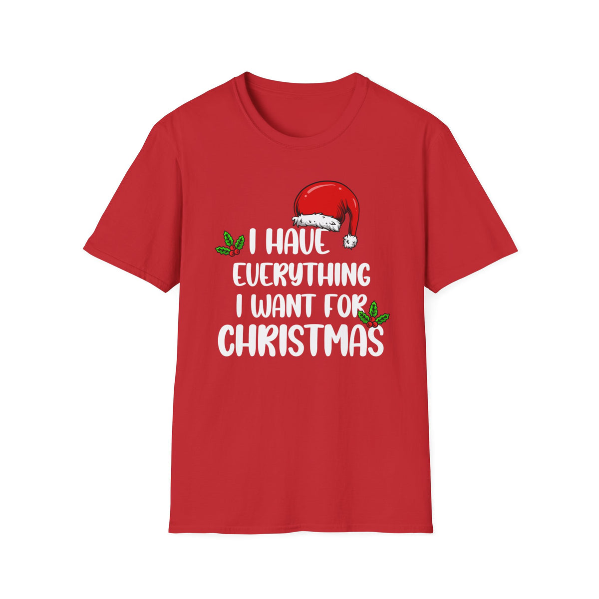I Have Everything I want For Christmas | Deluxe Unisex Tee