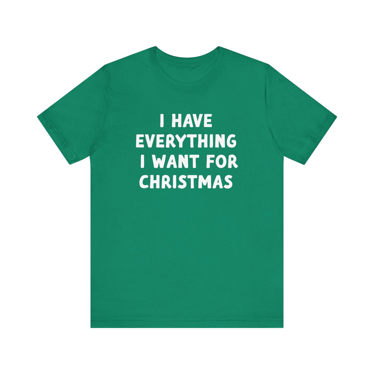 I Have Everything I want for Christmas Tee